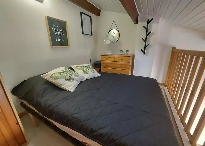 Maison Climatisee 4 Couchages Avec Terrasse Et Parking A 300m De La - Fr-1-326-744